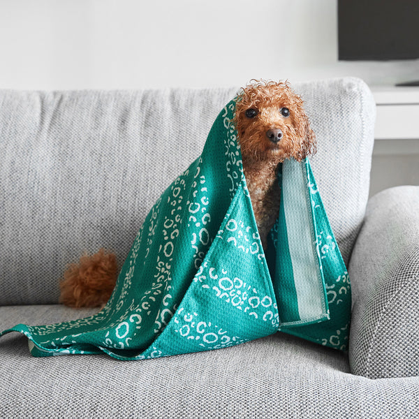 Dock & Bay Dog Towel L - Woofs Go Wild