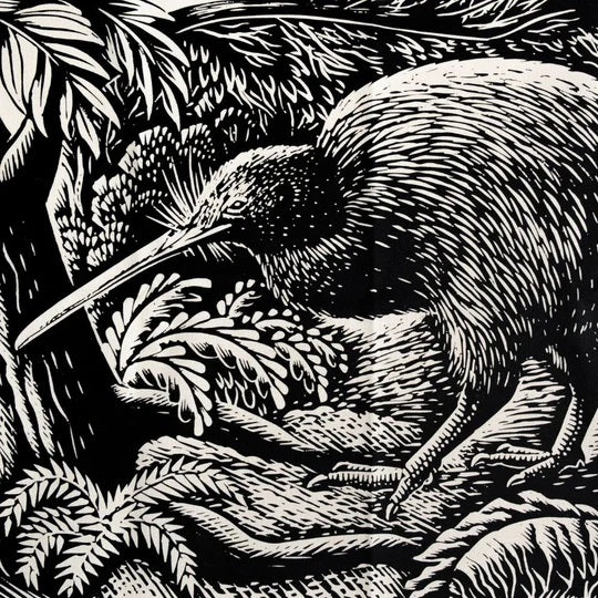 E. Mervyn Taylor 100% Cotton Tea Towel Kiwi