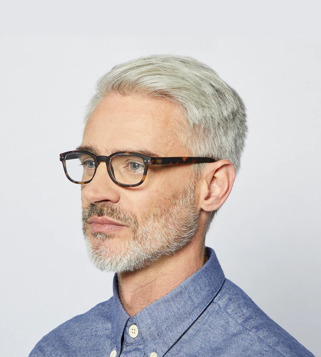 Izipizi #B Readers Dark Tortoise