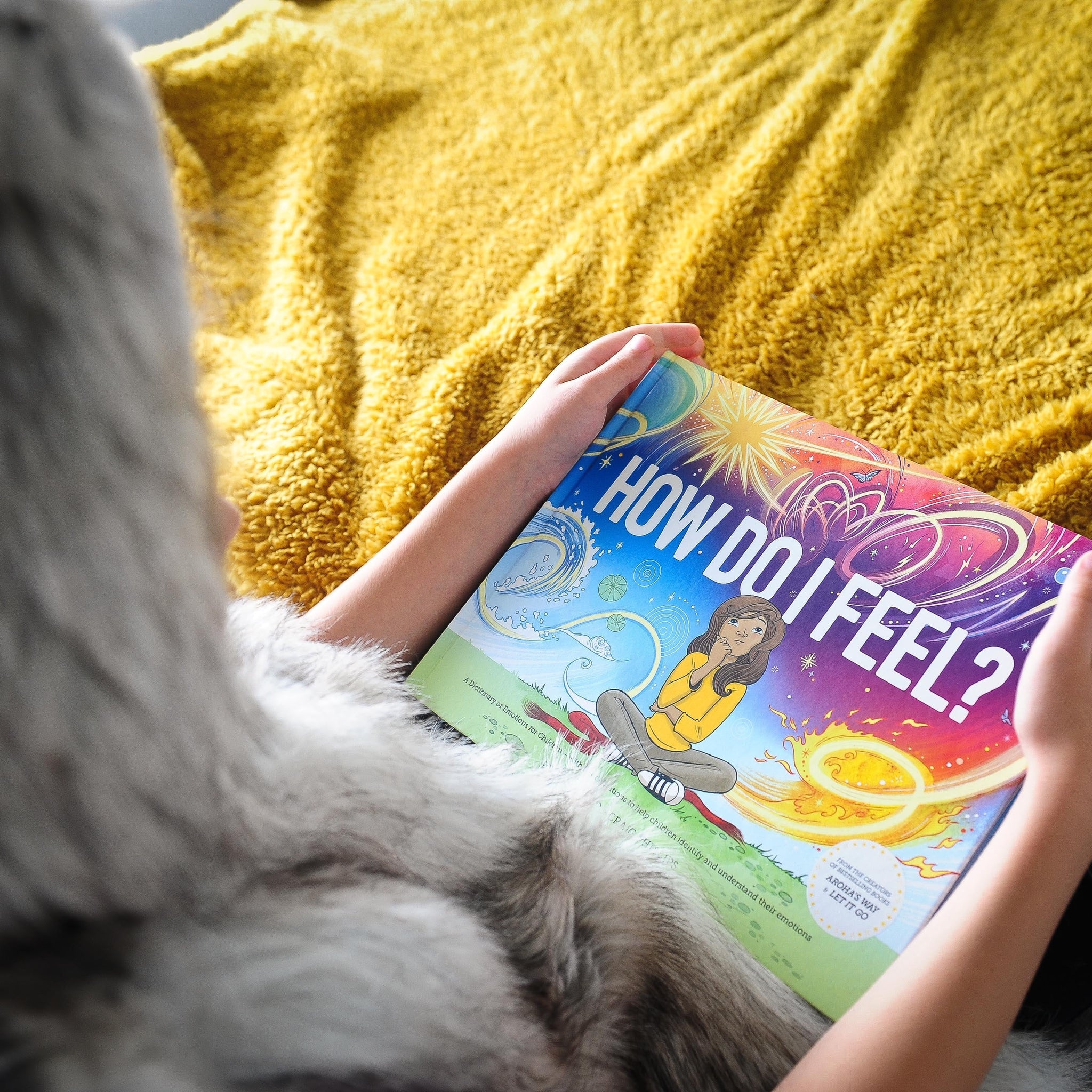 How Do I Feel? Emotional Literacy Book
